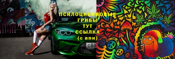 Альфа ПВП Рославль