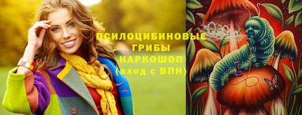 Альфа ПВП Рославль