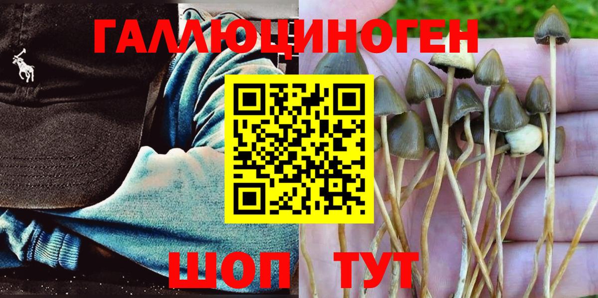 Псилоцибиновые грибы MAGIC MUSHROOMS Альметьевск